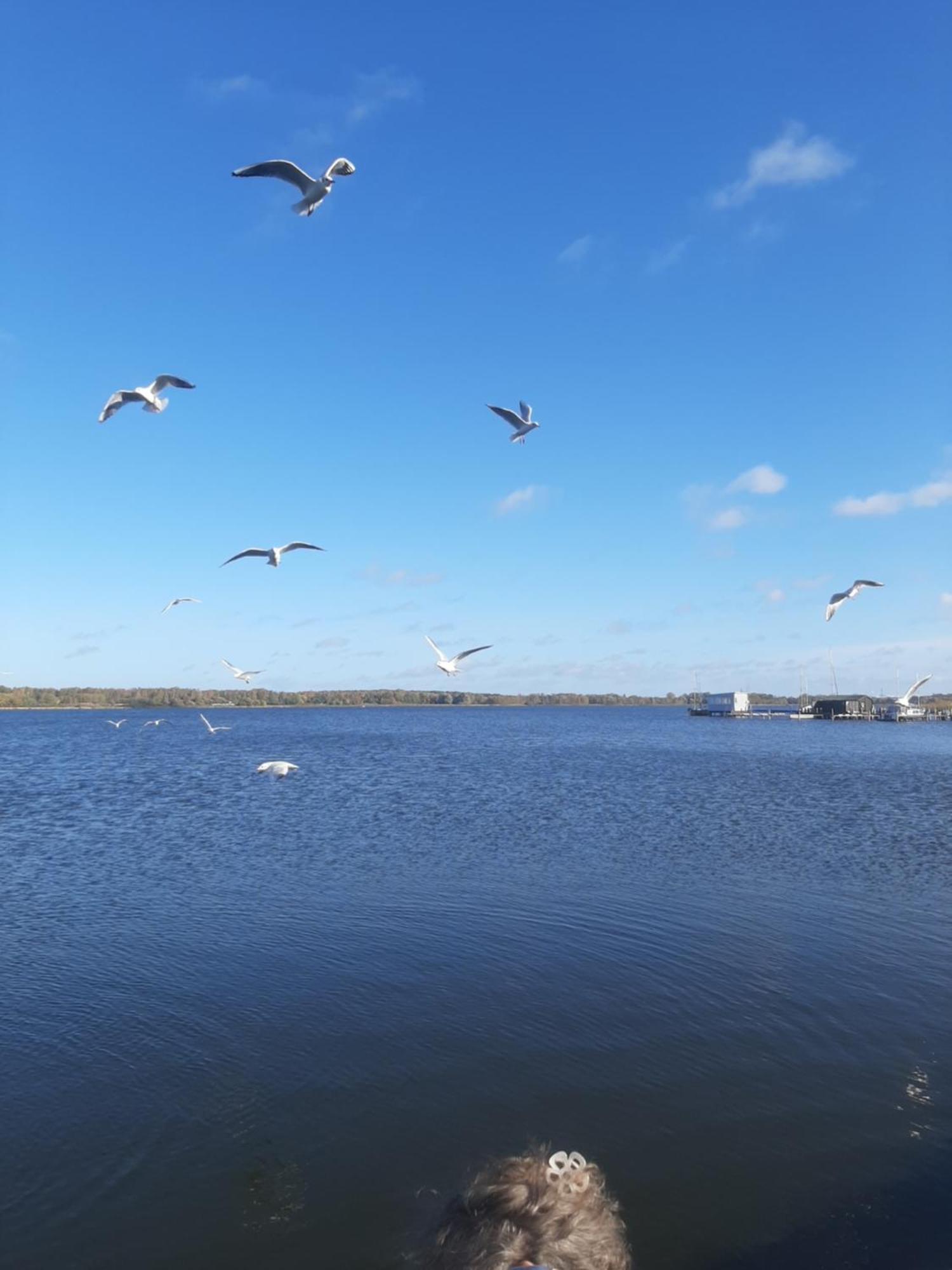 Hotel Perle Am Bodden Ribnitz-Damgarten Zewnętrze zdjęcie